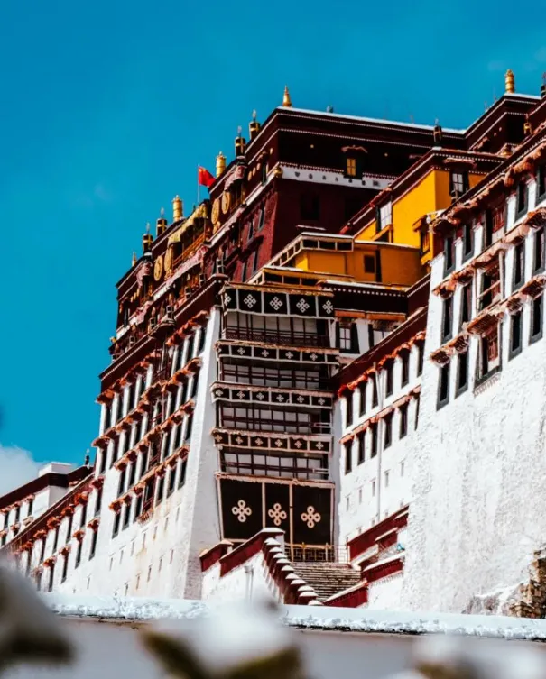 fca19828130baa8620fcd3869e3654de-sz_728203