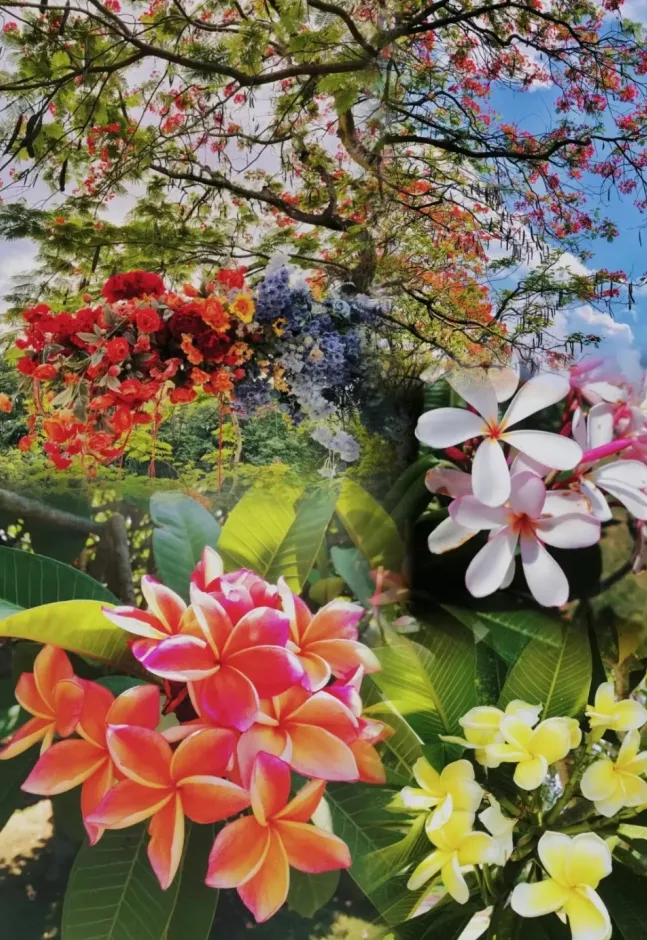 fca4bb919c5b53c2b61d9e709741f733-sz_1978917