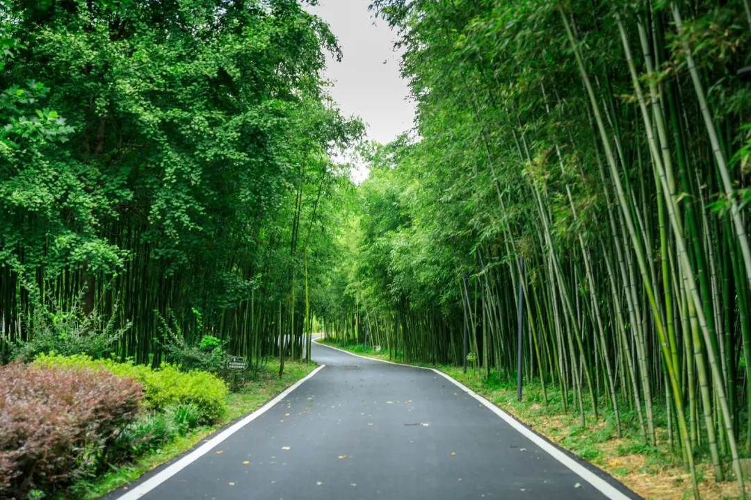 fcd9ed6ef44770dd1aacbcef59097b4e-sz_397531