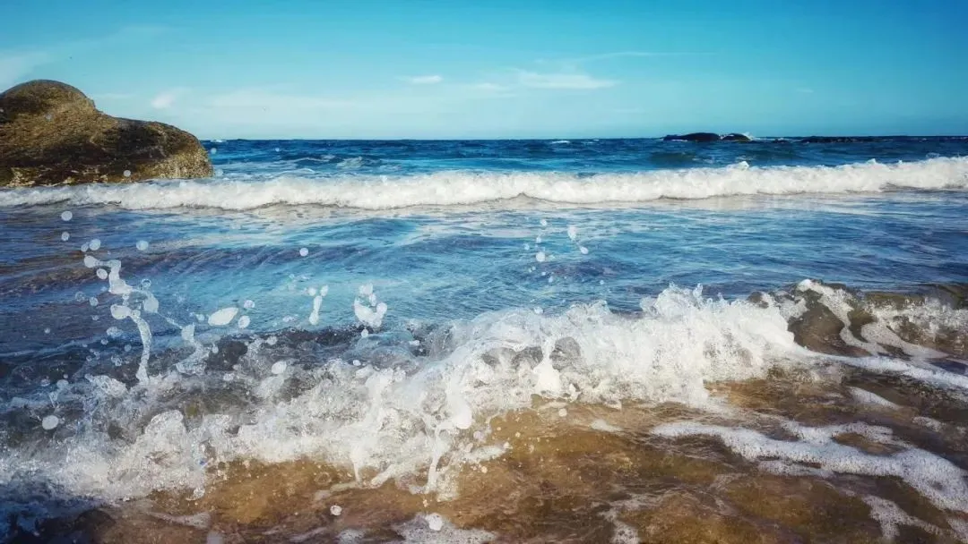 fcdca74bafc34cf48e67d191d8f313bd-sz_121487-4