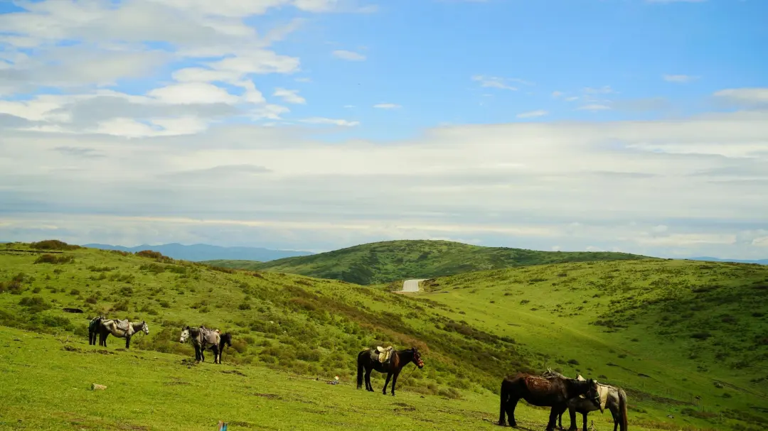 fcef8fc34bd5f1b4494e87fb52e3de83-sz_435007 fcef8fc34bd5f1b4494e87fb52e3de83-sz_435007