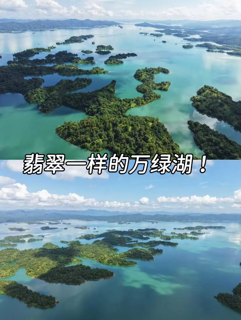 fd05c51f06a3c5452a1052021e44a413-sz_148383