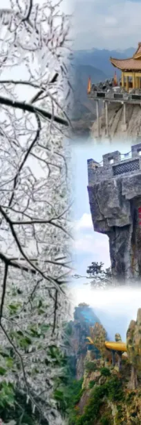 fd6602be523af6a7a8e225c06d3f693b-sz_549103-1