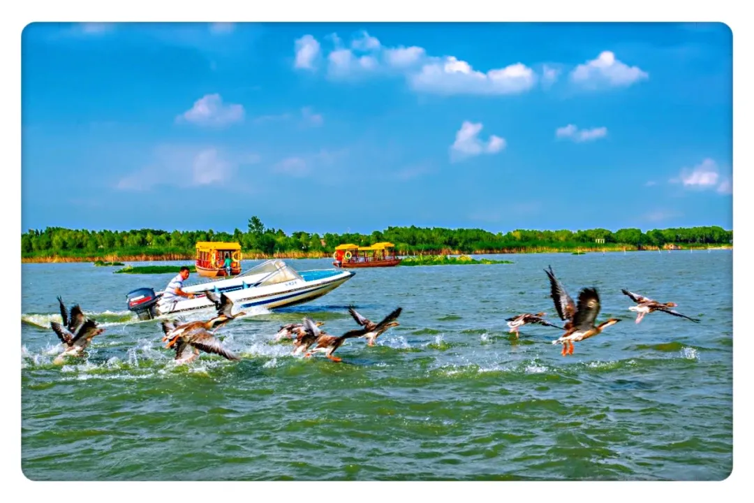 fd6cf53924f7d94ac67b128d669d1131-sz_290762 fd6cf53924f7d94ac67b128d669d1131-sz_290762