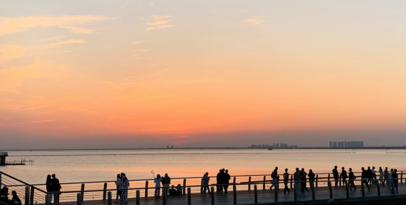 fd791212de5ffc13a83c60269cd8808c