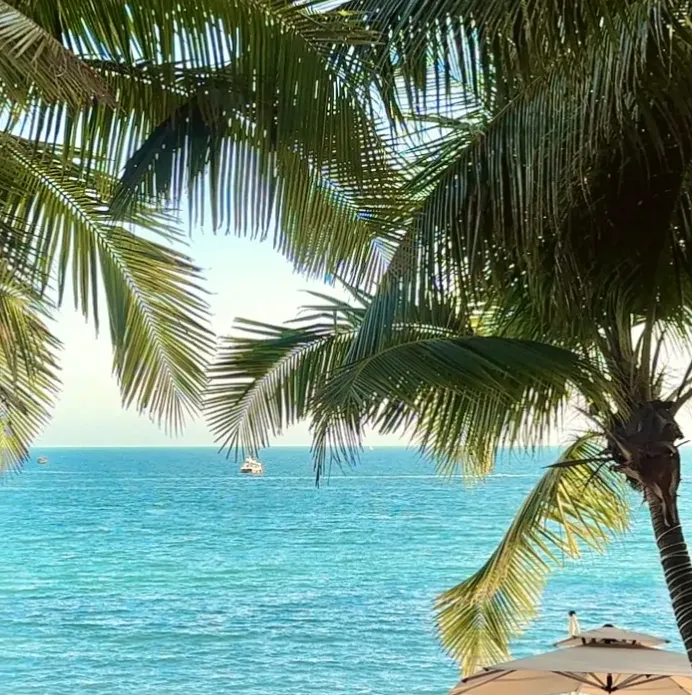 fddb9252b9074faefc21e1b6ff47253b-sz_1635046