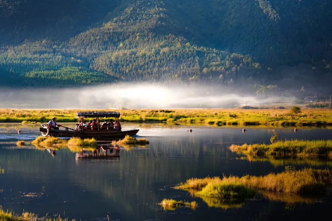 fdfab6546025d3ac448efc96d96dc305-sz_243922