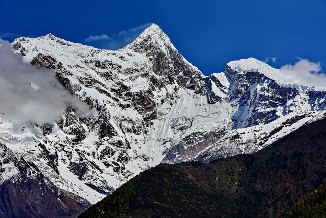 fe09439daa3b2264ac413c5e483f7799-sz_2878323