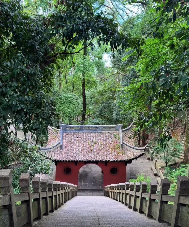 fe0e41c0ed961375a8cf5efb41f55c3d-sz_1202360