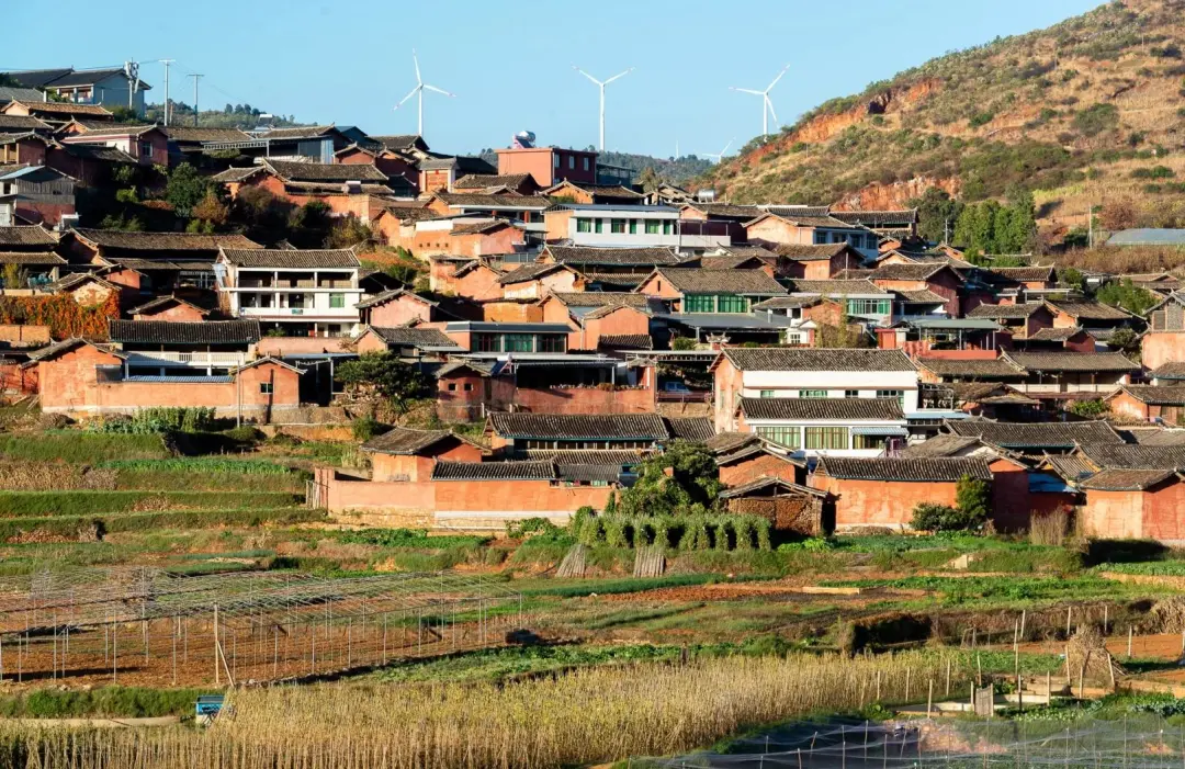 fe35ed6dfe25e7c7c3e4a62cdc77d336-sz_461762