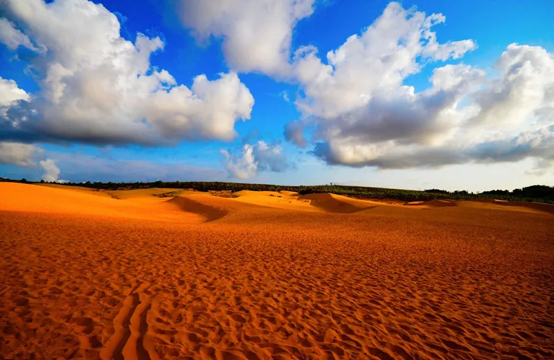 fe4315386d8aa736ca34d64a1b6a9c4e-sz_156826