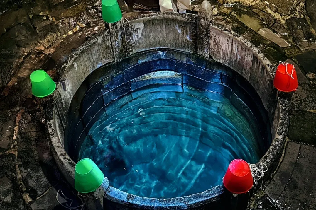 fe57163059403d40cec7ccd816955102-sz_3542051