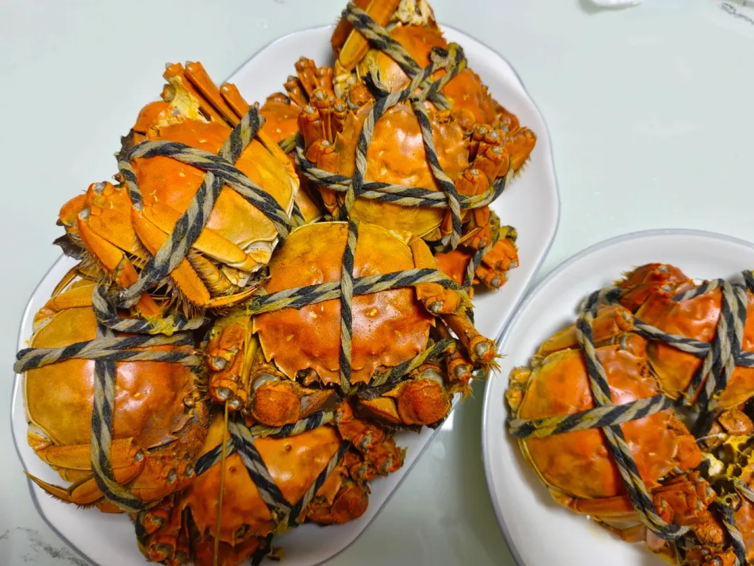 fe5857220ea52d29d418657b2560151e-sz_2768526 fe5857220ea52d29d418657b2560151e-sz_2768526