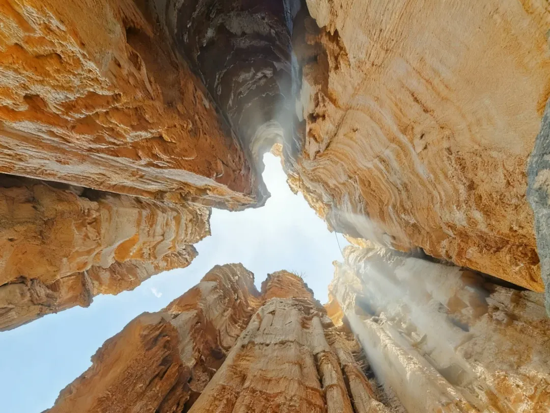 fe60ee78fdd2220e29ca3a959c114395-sz_3758894