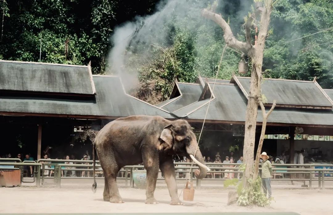 feae0a3704291d9f4ea03917c13ca989-sz_428714