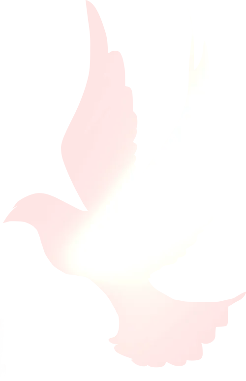 fee4fb9f9dd0808379cb9044184cbf3d_sz-129315-4 fee4fb9f9dd0808379cb9044184cbf3d_sz-129315-4