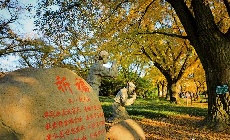 ff0c85276052d6d728601c6c0eb72103-sz_147327