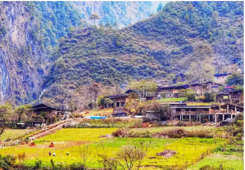 ff46b462c3eb968dc73c0beaad60a7fe-sz_2109173 ff46b462c3eb968dc73c0beaad60a7fe-sz_2109173