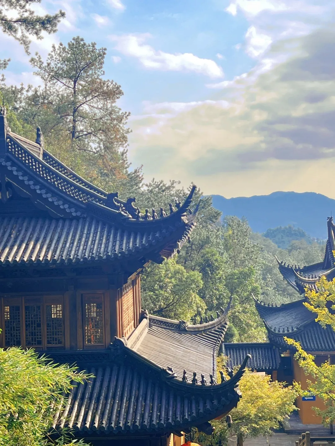 ff780144b14fa8c3da903ce3ae0821fd-sz_506894