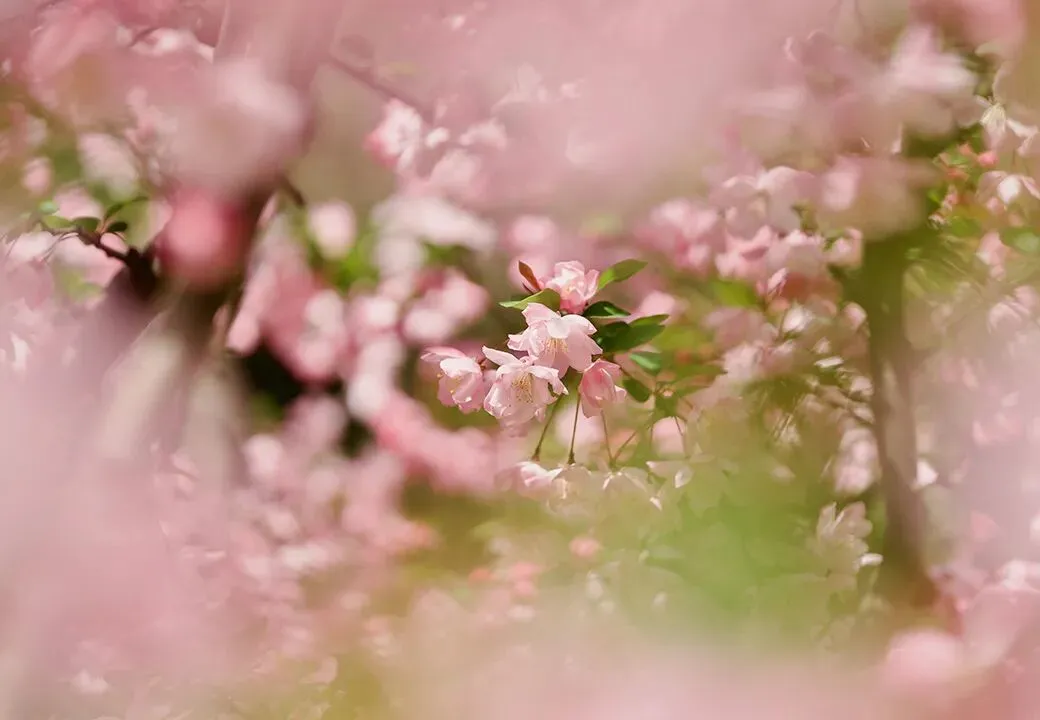 ff8660a9333e4d1b13899782a18ff4fc-sz_93962