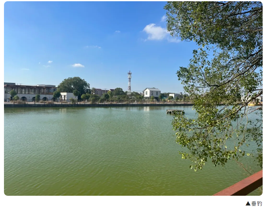 ff923e13e7ac77fbf1cabde3b5b174f9