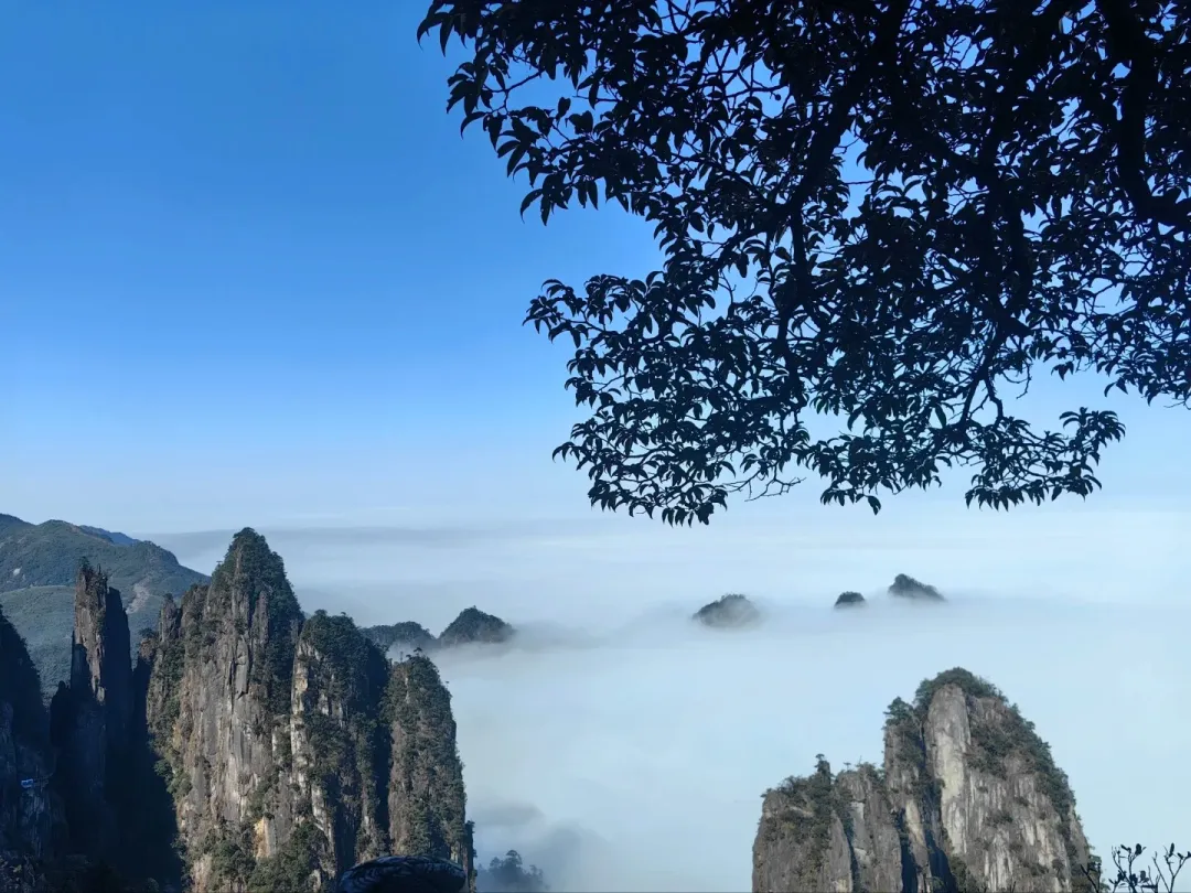 ff9410f2d8c18dbf70a3c15e54c9e4fb-sz_424217