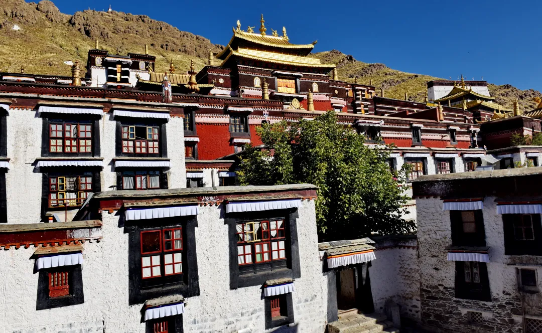 ffaac8d7c476788872c5e81520f295d9-sz_2897253 ffaac8d7c476788872c5e81520f295d9-sz_2897253