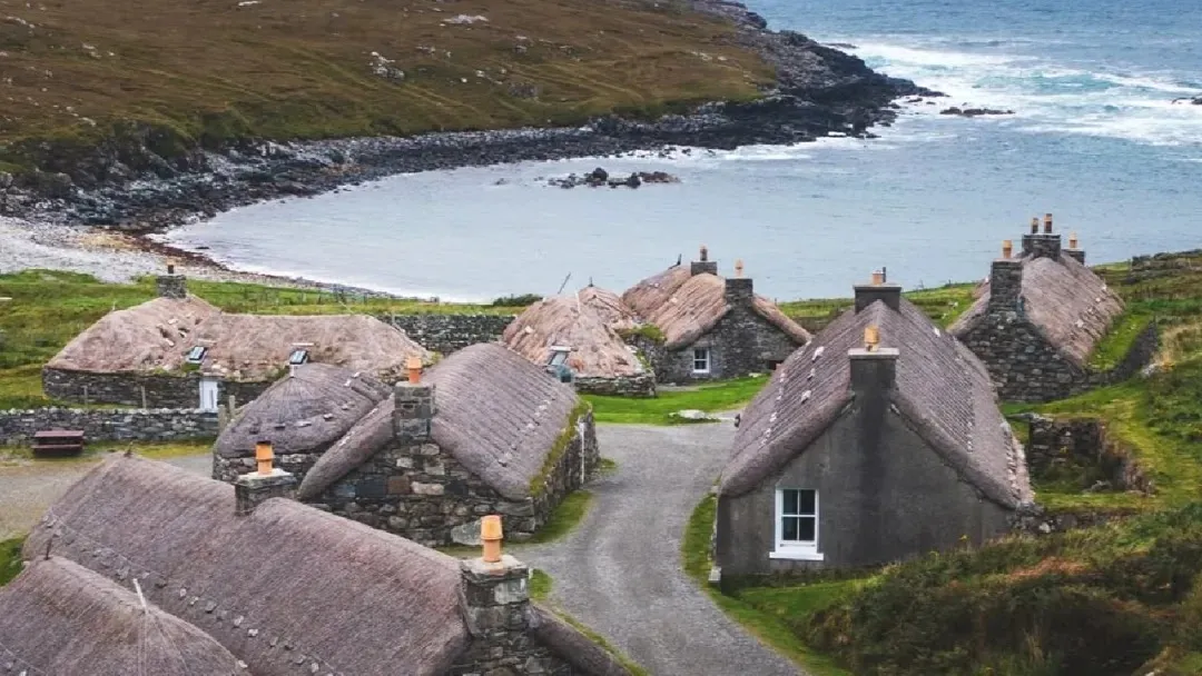 ffd6c78cac62c10d5a88d6d28aa1d779-sz_353479-1