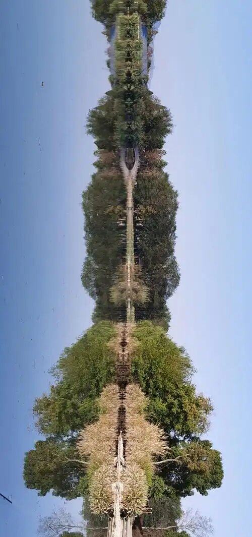 jM35X2gQ93tE6zp22m5RChOcadjFxxpe