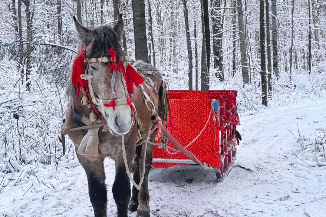 冰雪VIP【大牌雪乡】双飞6日游 | 纯玩0套路●哈尔滨冰雪大世界VIP畅享票●免排队●奢享5钻酒店+雪乡2人豪华暖炕●2+1陆地头等舱