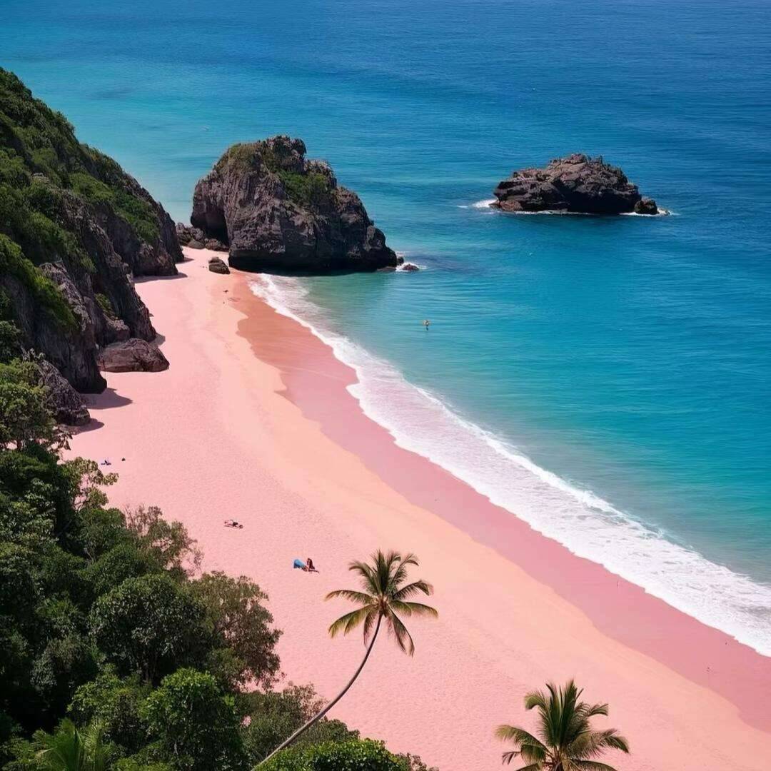 00000000AJtGMsjYdFNSiTet