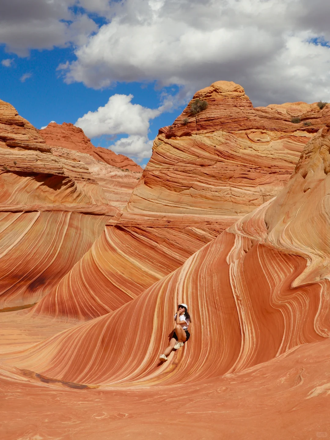 00000000APTSwgtapWvLYkMq 00000000APTSwgtapWvLYkMq