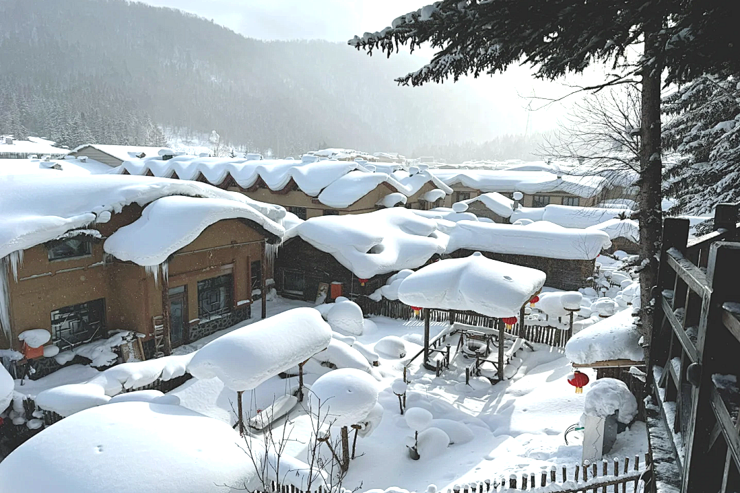 00000000ARxIGNzWKLmzDRUY