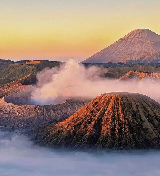 00000000AUhFTmoIMqmRdytW