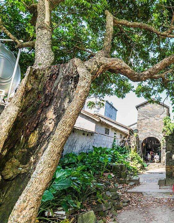 00000000AXxmKmasZRruNxLD