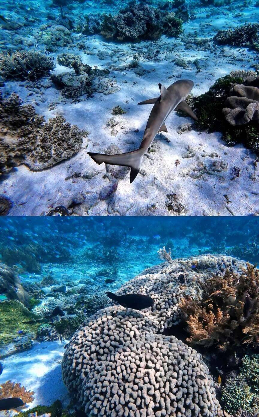 00000000AeWPvhrkwITnPJML