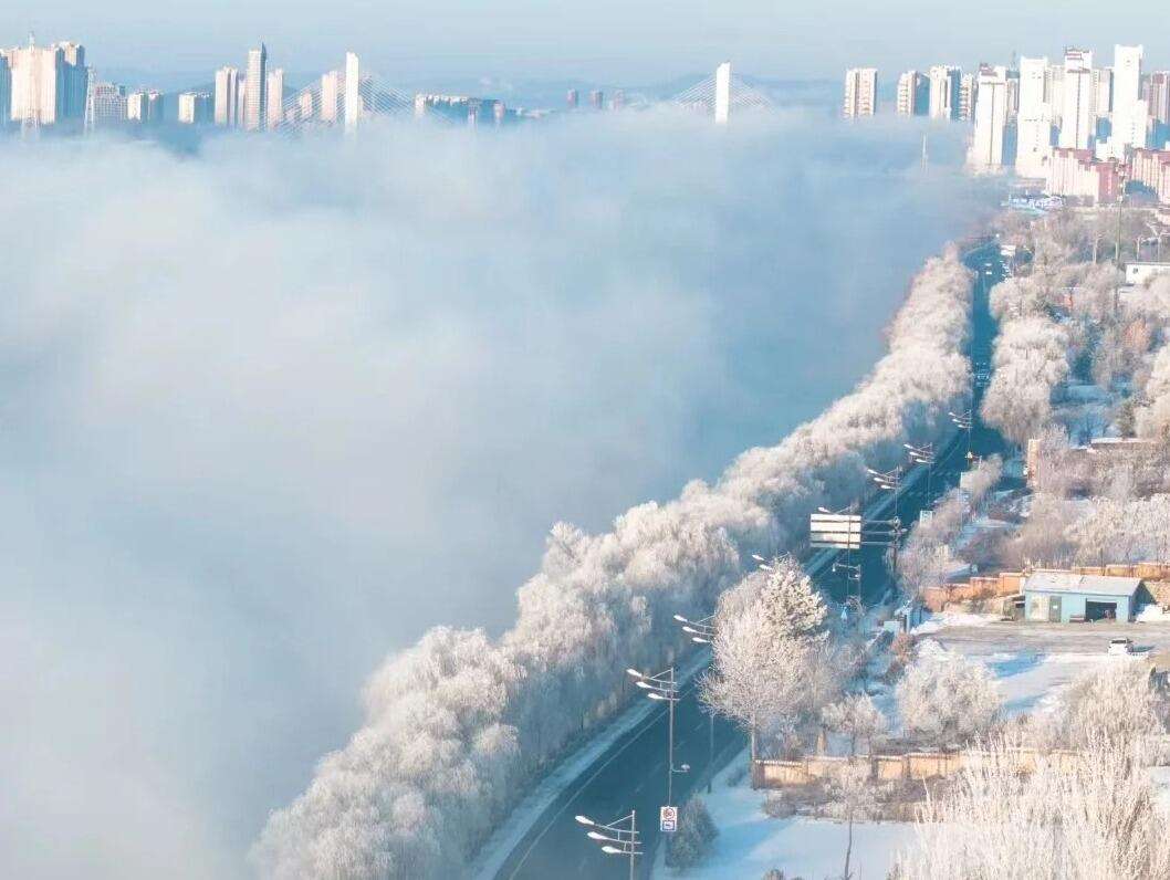 00000000AnNCMNRZZnBXJyMX