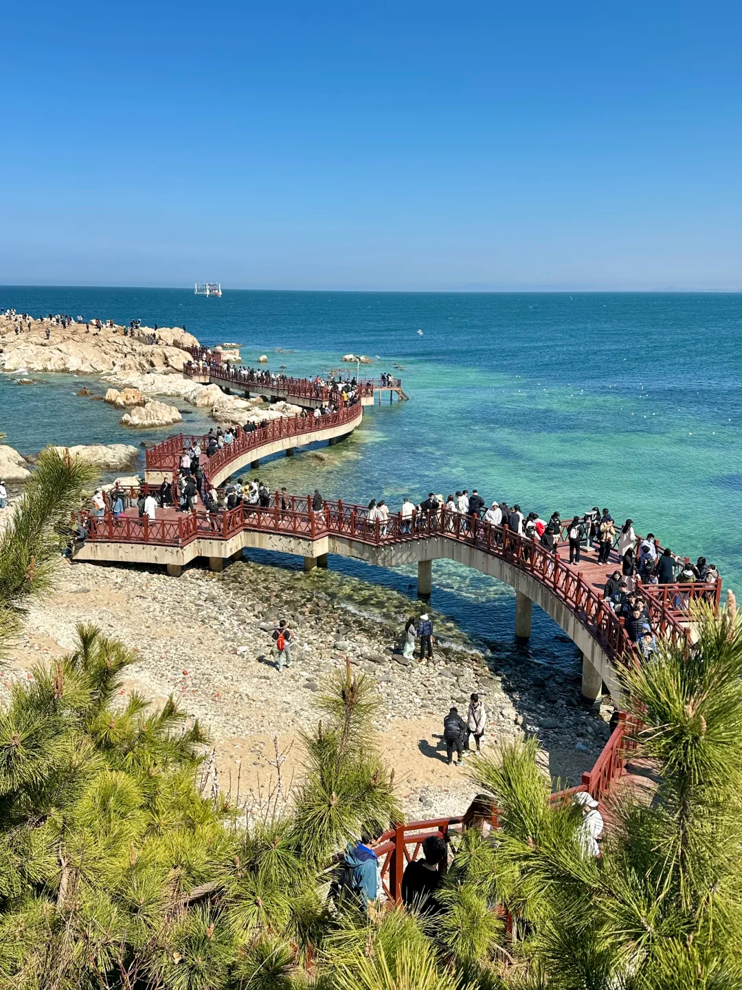 00000000BWODzpoLfJBSGFSg