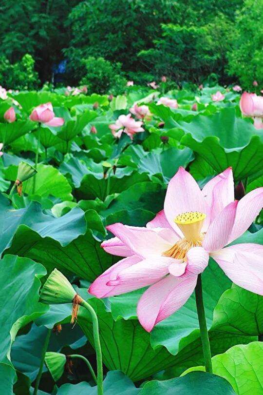 00000000BgQhAwGKzBcsklYU