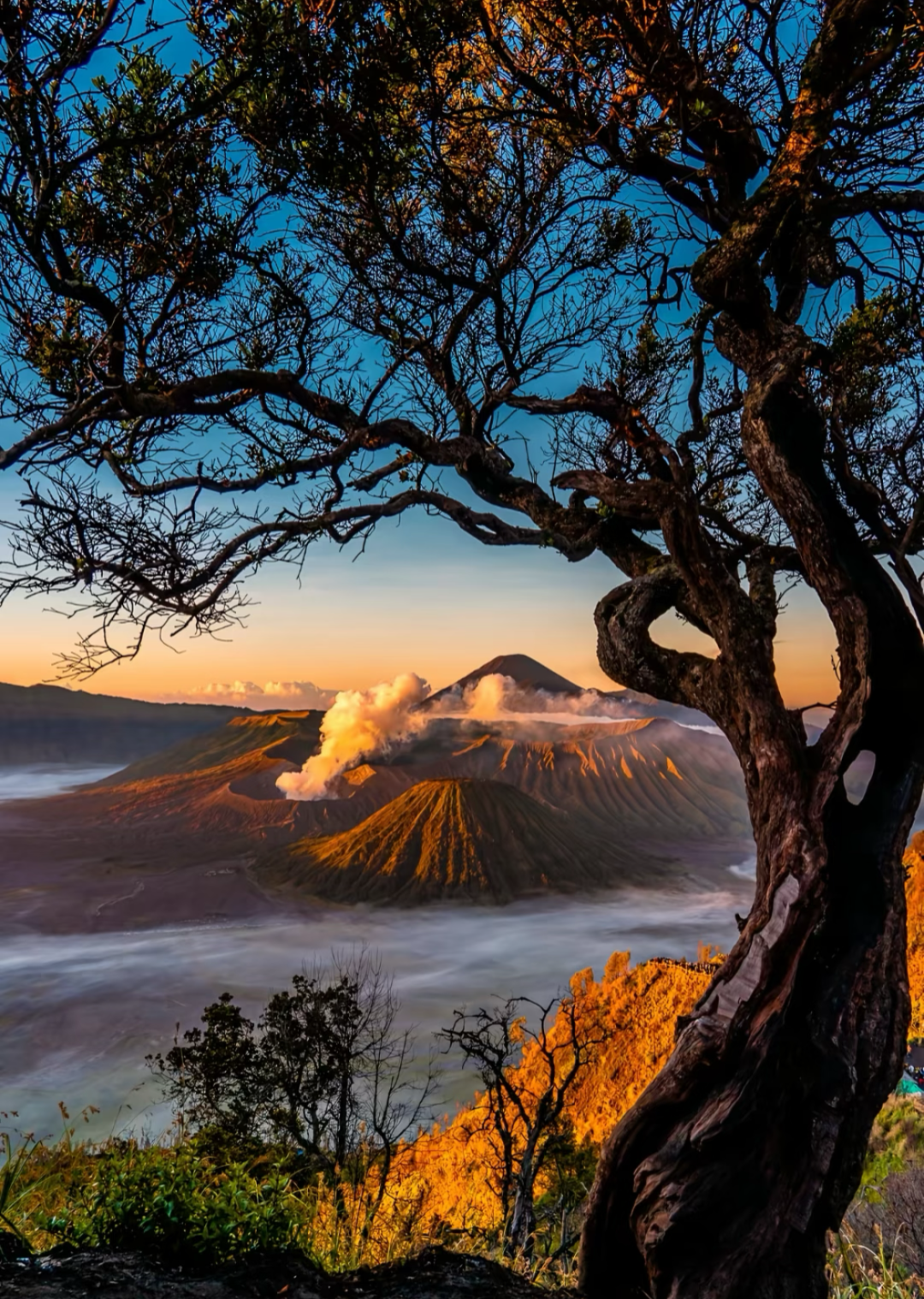 00000000BvzsPsCpGwqJpkex