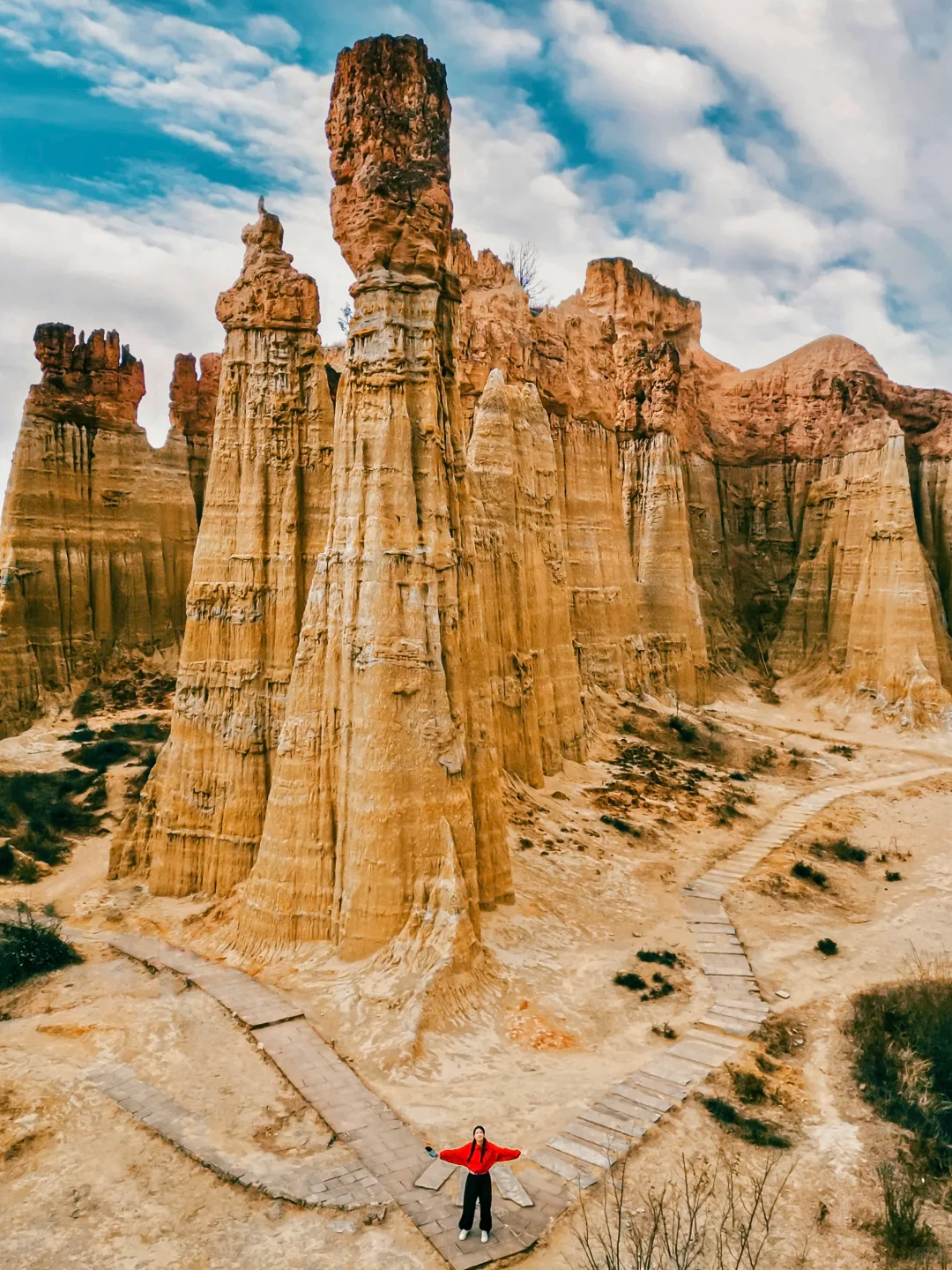 00000000CLEcVjTFVQNpLKRM