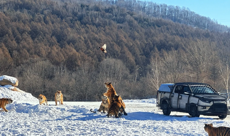 00000000ClFJxaGbBGdzggGK