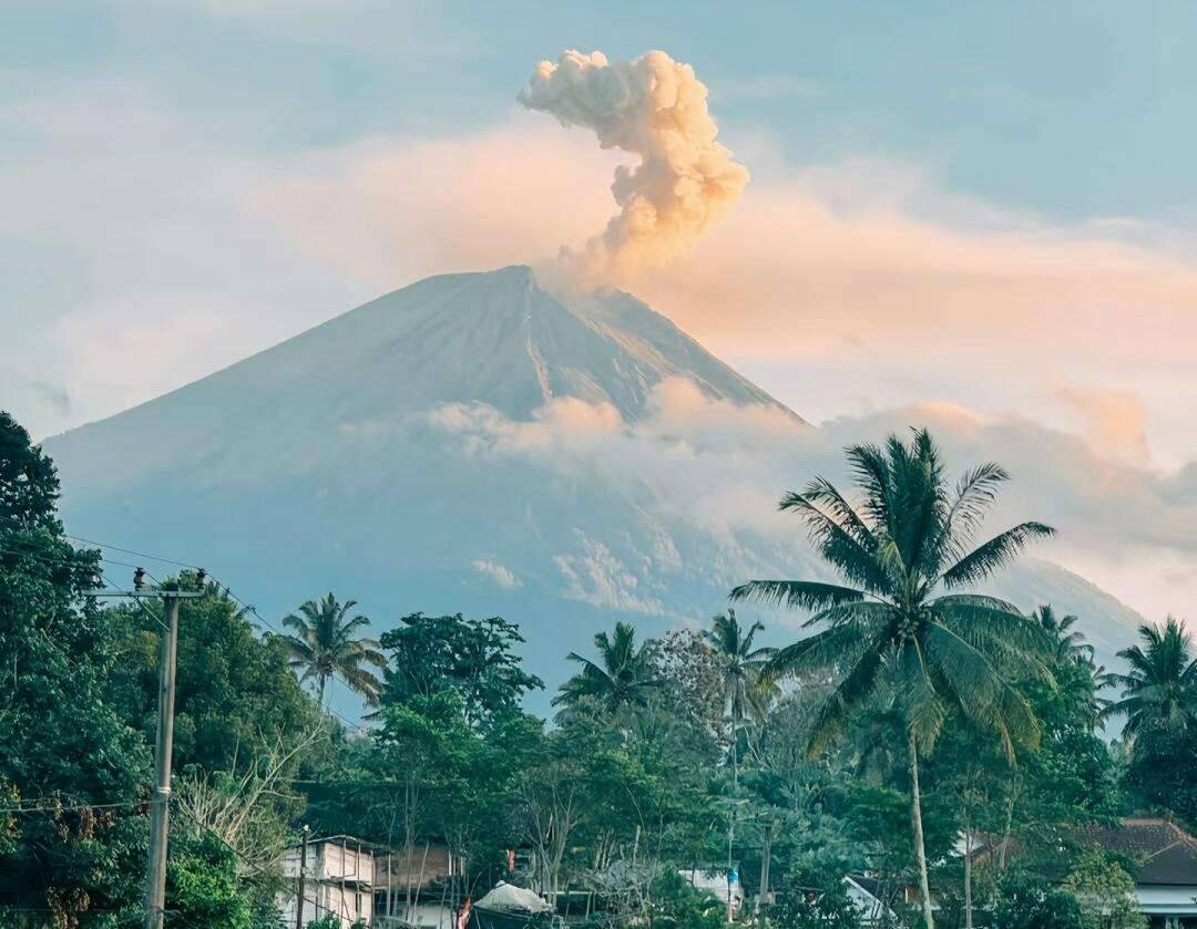 00000000DHWuTzNanaXnlNEV