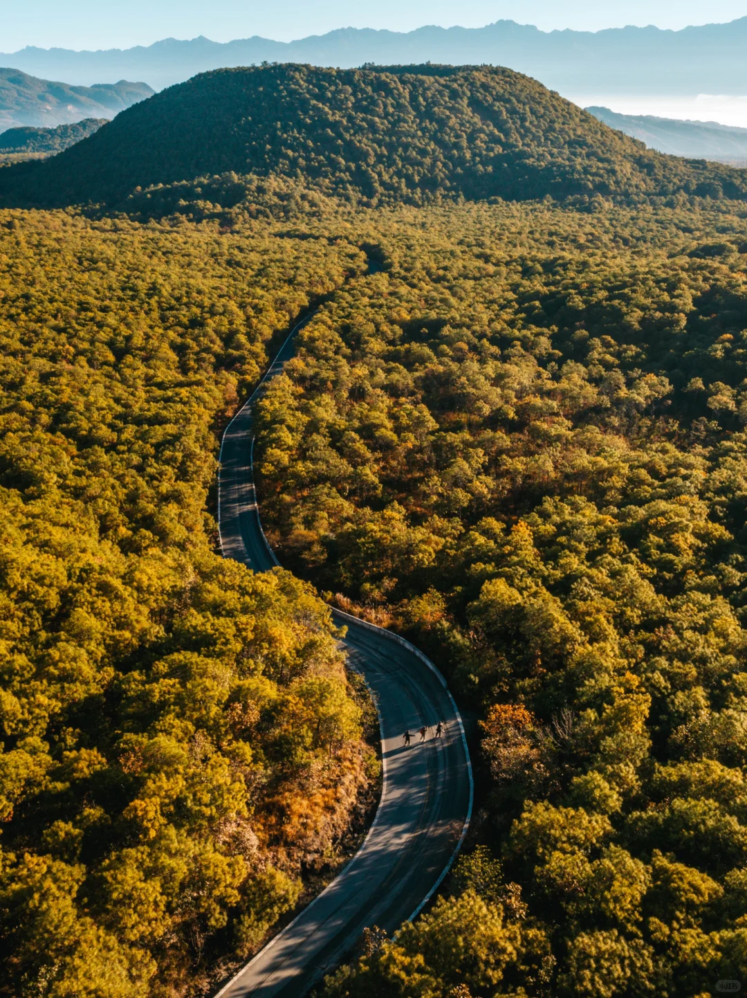 00000000DSEavkigzqYvNqmd