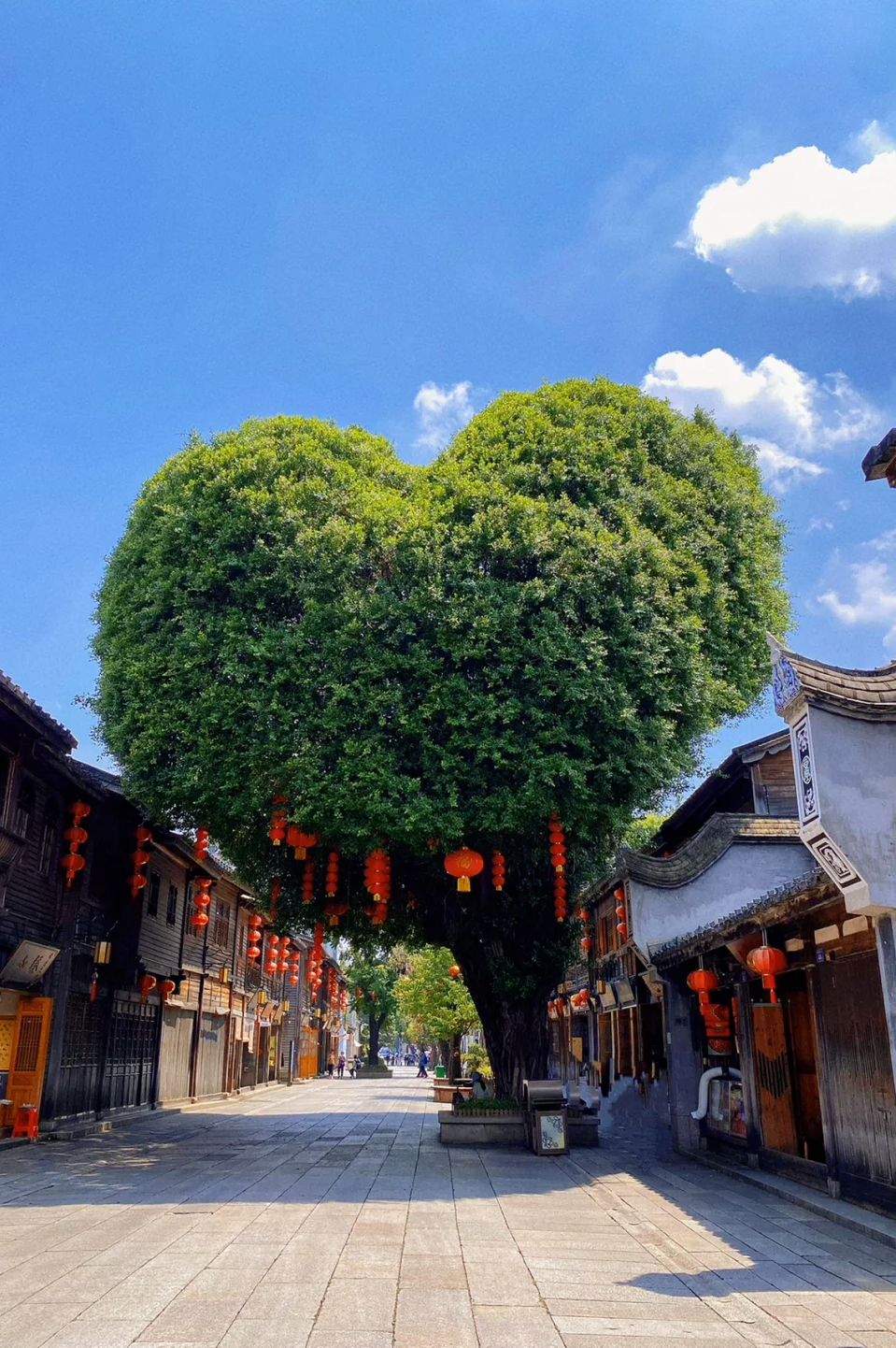 00000000DdpVxJxLwgIkWxuz