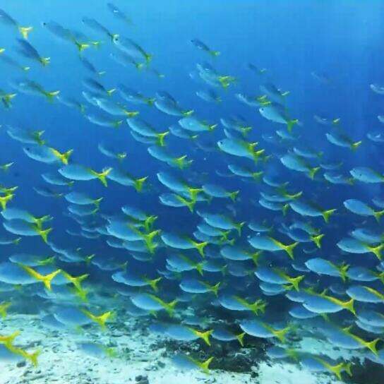 00000000DuxFBAKMDSbbVwPi