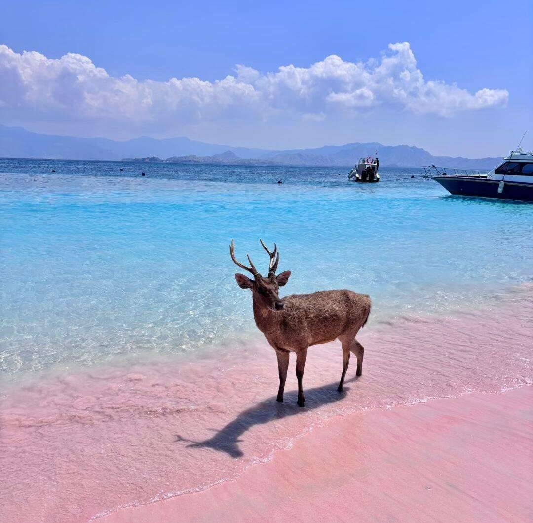 00000000ESiYQmGpRuaScMyi