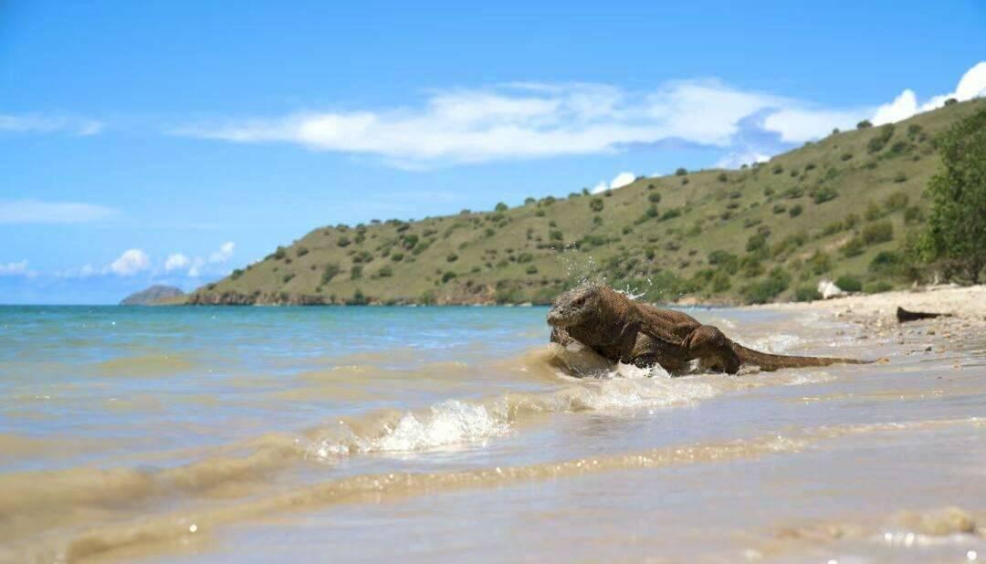 00000000EmVMIeqfJrmfooSx