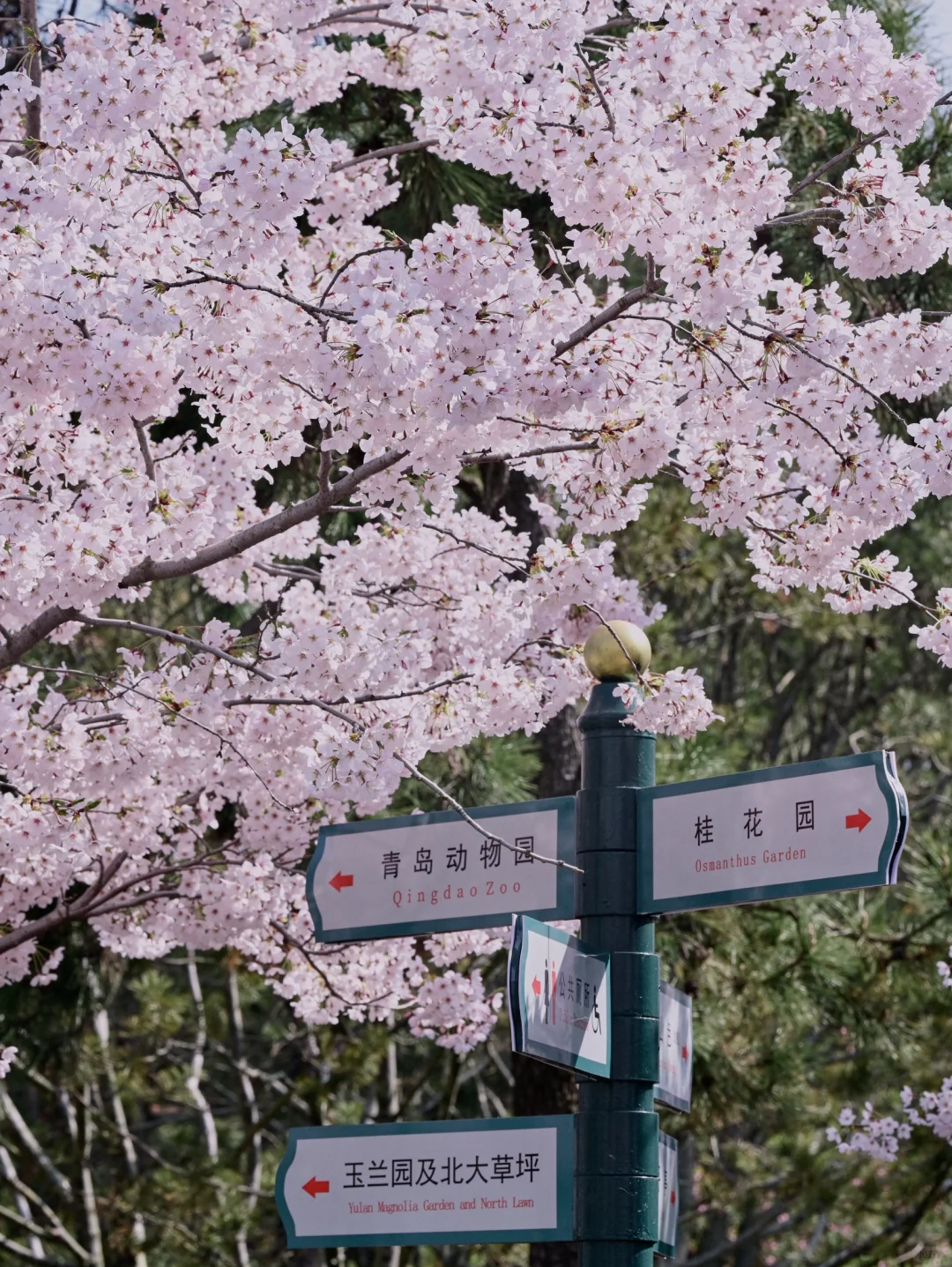 00000000EmnmtwtWMiyIHhwa