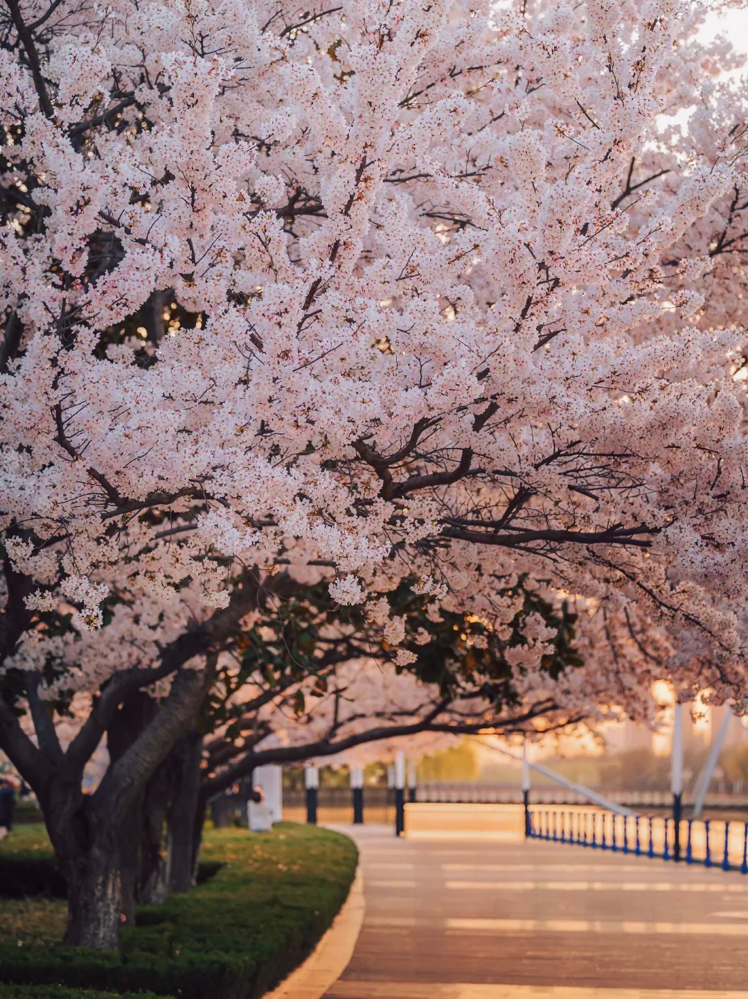 00000000EomwSIbqZKthKMws